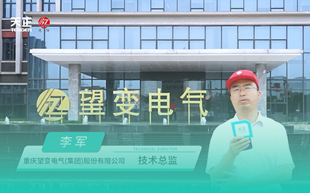 领航国际x望变电气